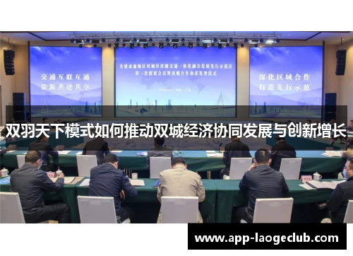 双羽天下模式如何推动双城经济协同发展与创新增长