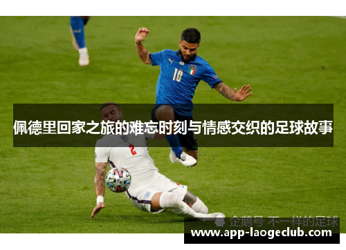 佩德里回家之旅的难忘时刻与情感交织的足球故事