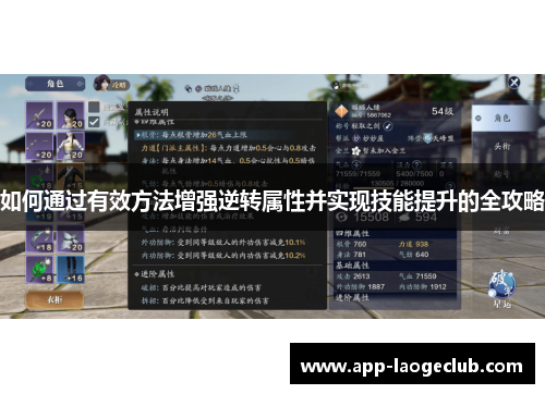 如何通过有效方法增强逆转属性并实现技能提升的全攻略