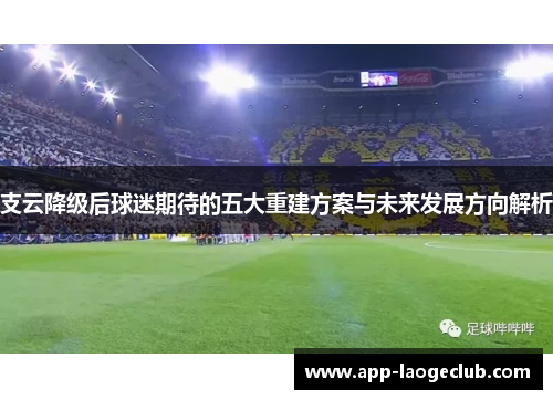支云降级后球迷期待的五大重建方案与未来发展方向解析