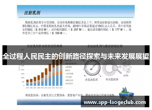 全过程人民民主的创新路径探索与未来发展展望