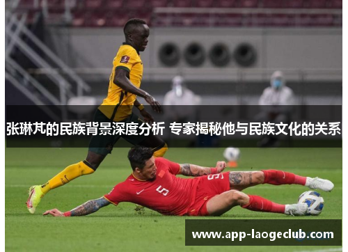 张琳芃的民族背景深度分析 专家揭秘他与民族文化的关系