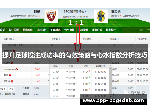 提升足球投注成功率的有效策略与心水指数分析技巧