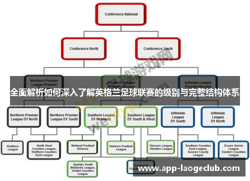 全面解析如何深入了解英格兰足球联赛的级别与完整结构体系