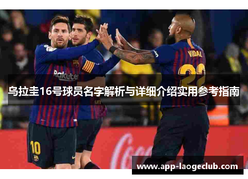 乌拉圭16号球员名字解析与详细介绍实用参考指南