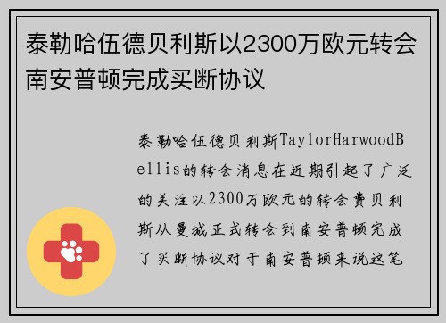 泰勒哈伍德贝利斯以2300万欧元转会南安普顿完成买断协议