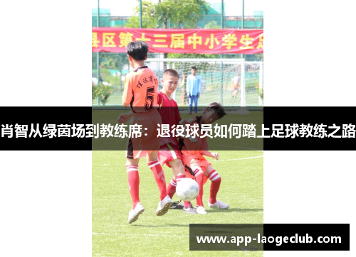 肖智从绿茵场到教练席：退役球员如何踏上足球教练之路