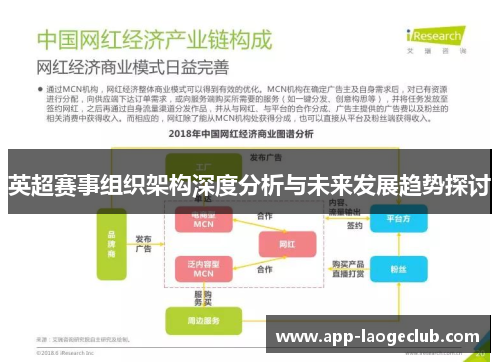 英超赛事组织架构深度分析与未来发展趋势探讨